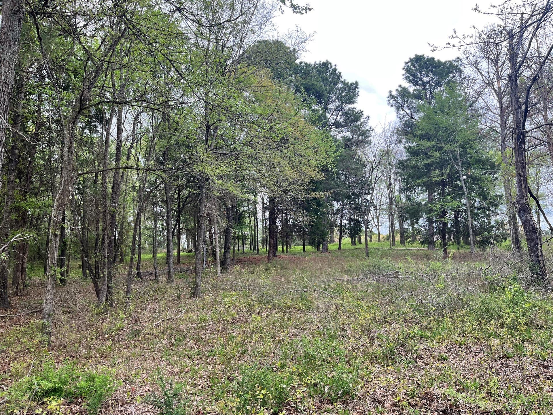 1.45 acres in Henderson County