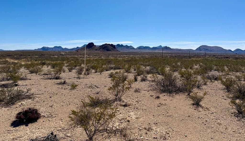 20 acres in Brewster County