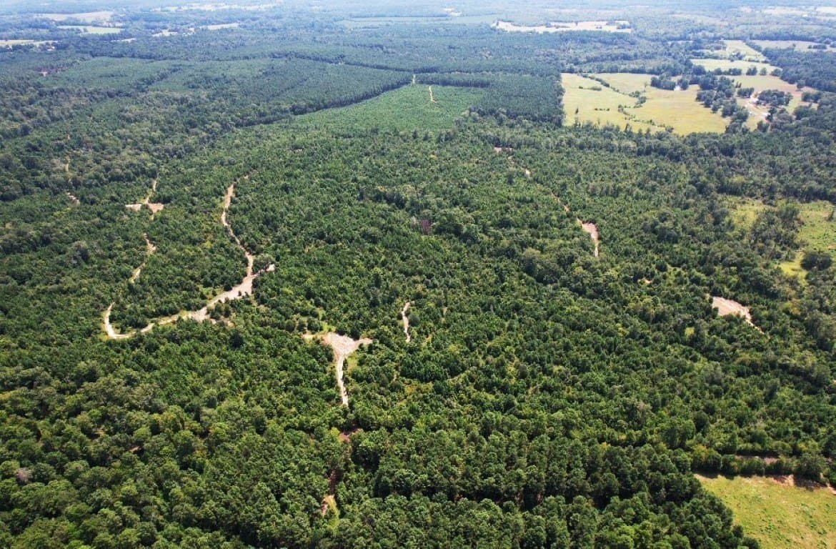 206 acres in Rusk County