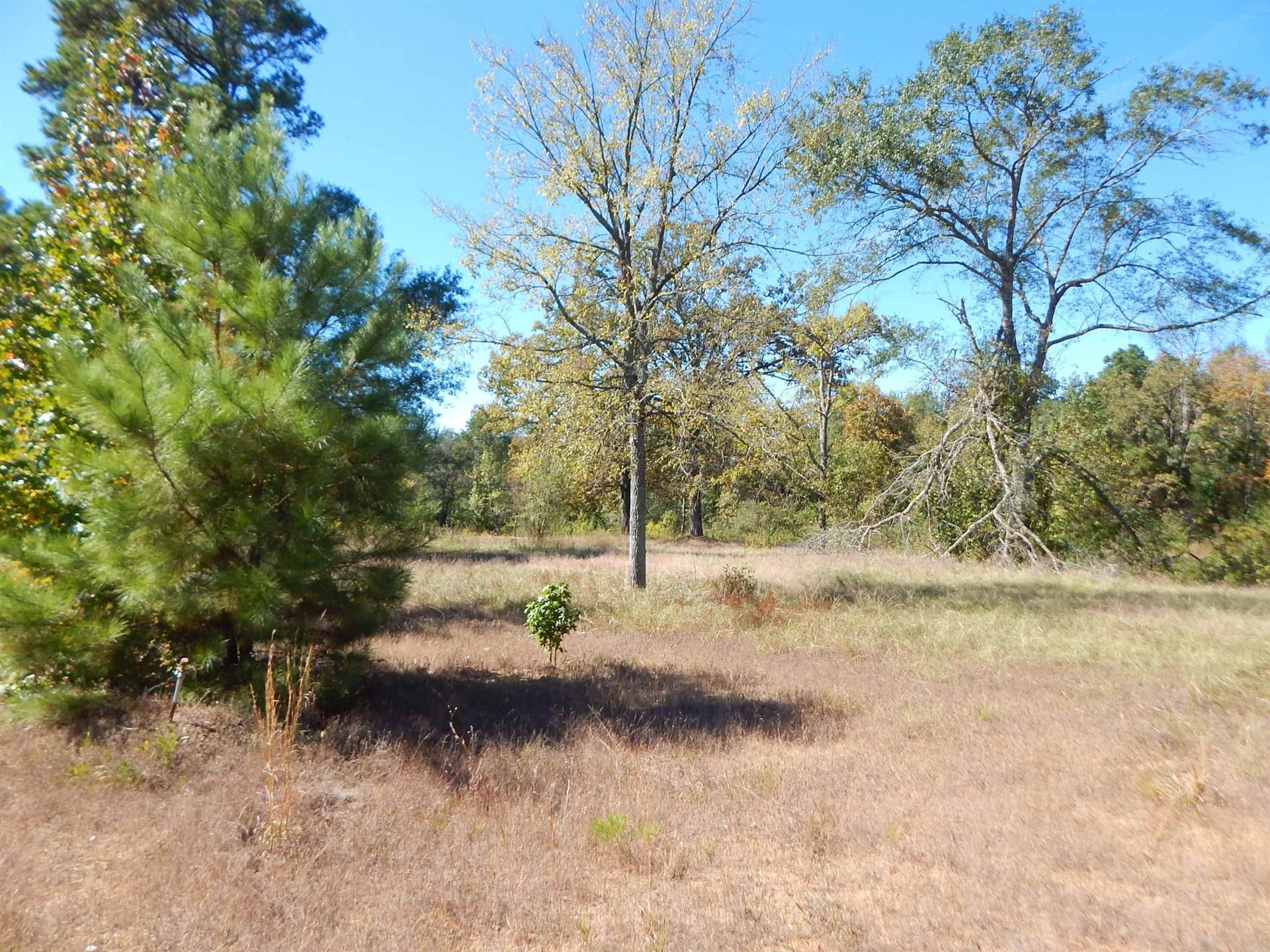 3.5 acres in Upshur County
