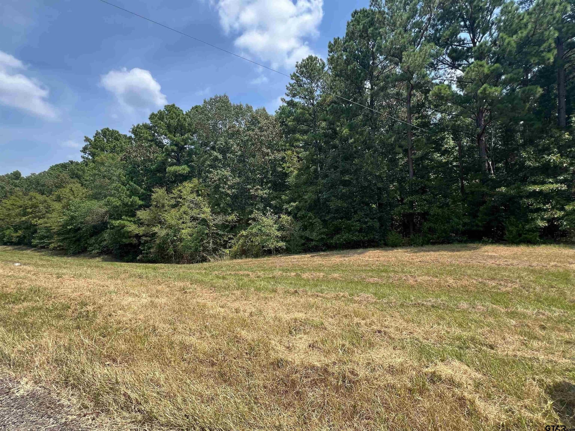 12 acres in Camp County