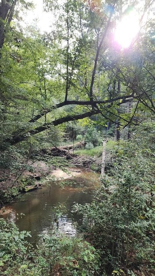 90.6 acres in Texas County
