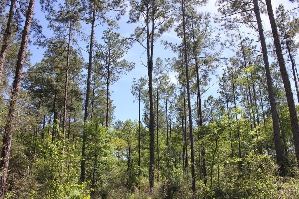 6.74 acres in Texas County