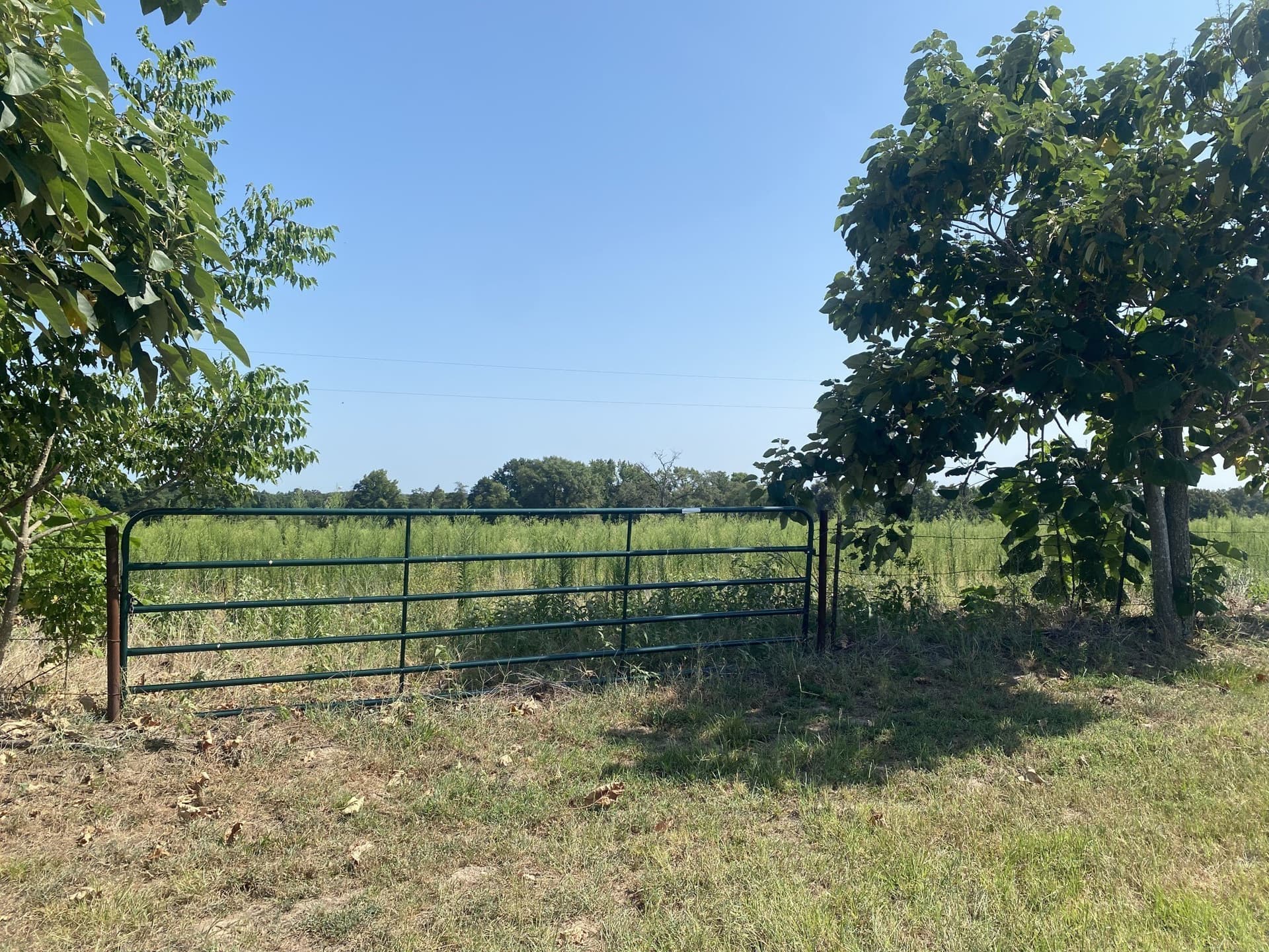3.68 acres in Camp County