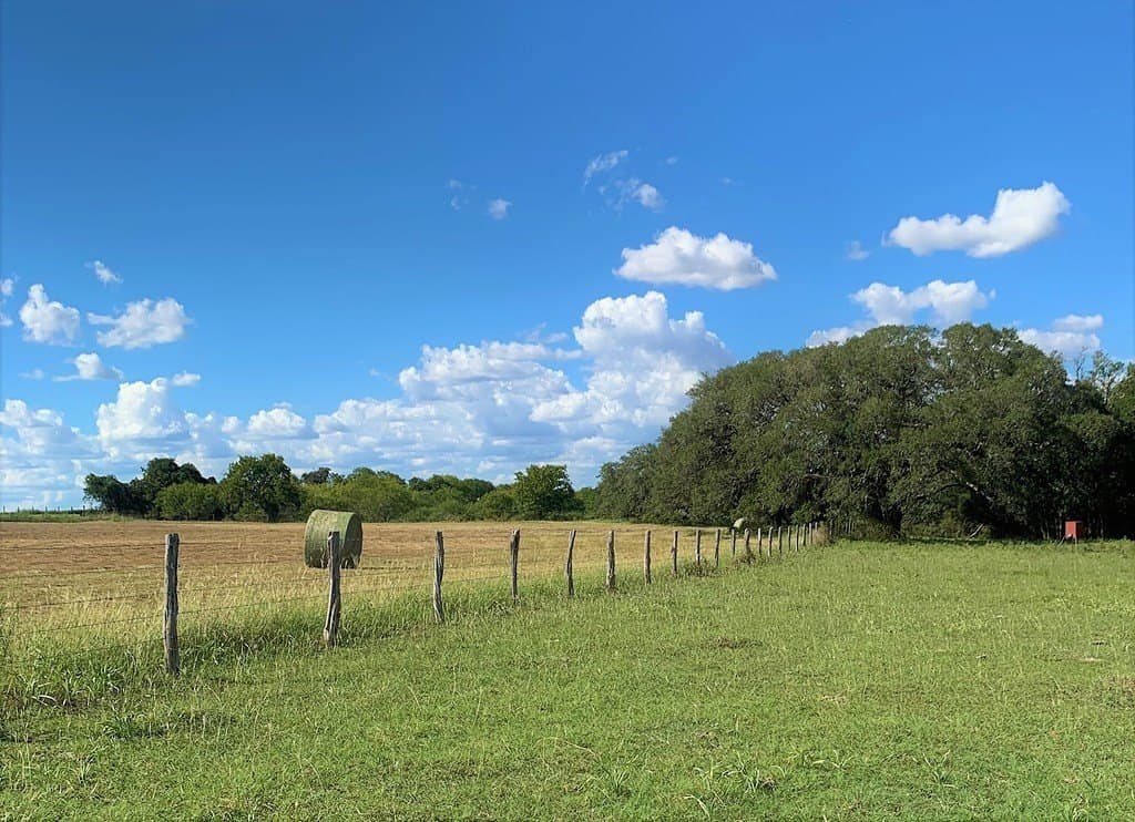 63.55 acres in Lavaca County