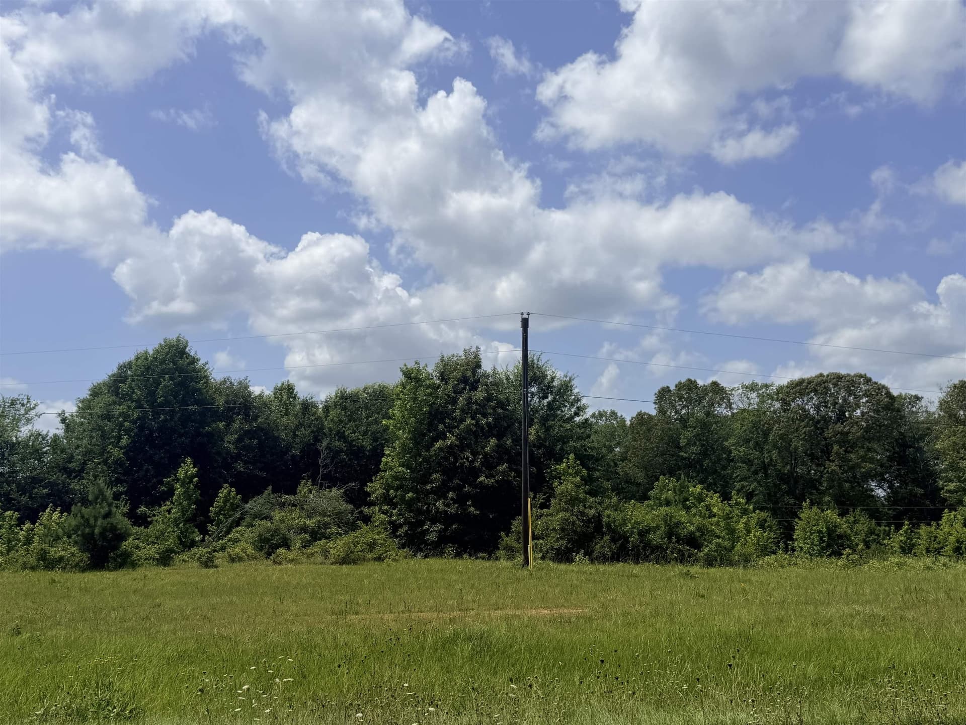 30 acres in Panola County
