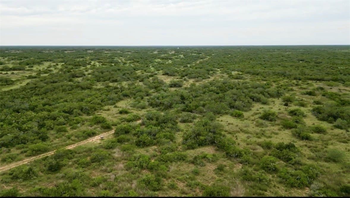50.73 acres in Brooks County