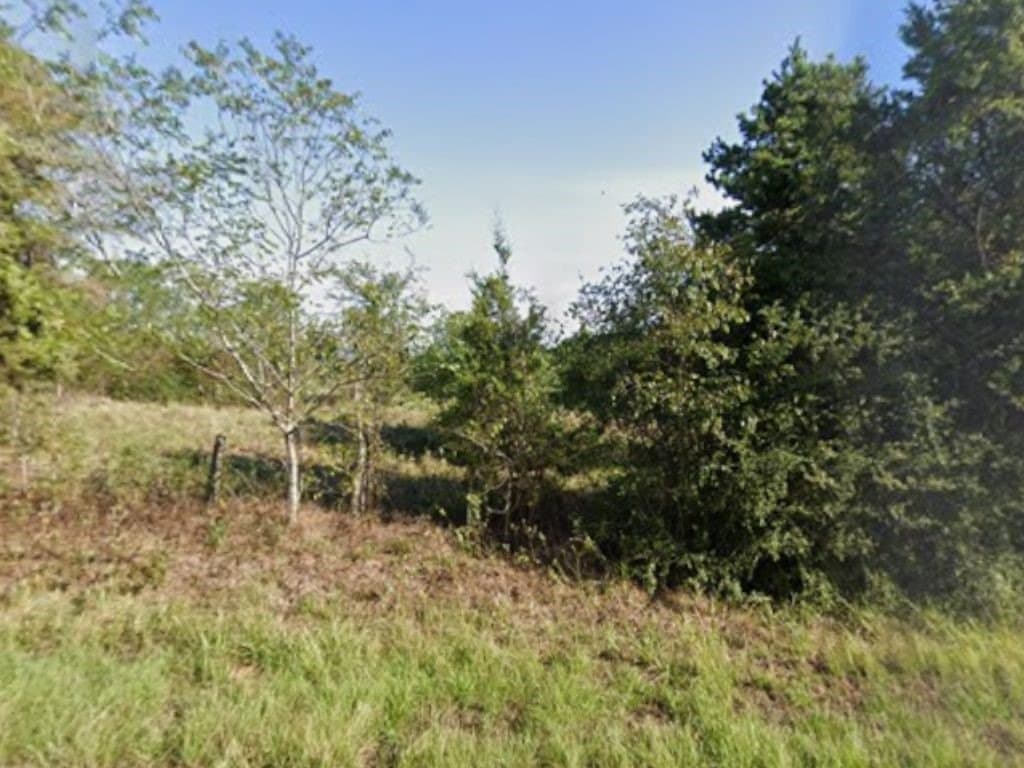 23 acres in Panola County