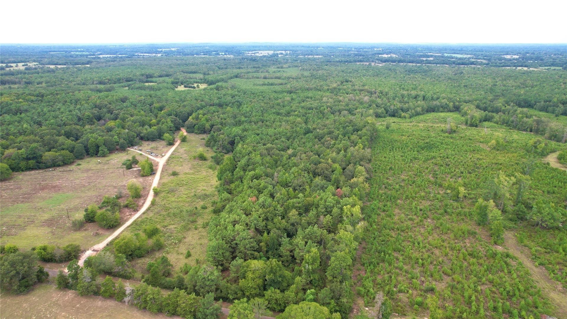 23 acres in Panola County