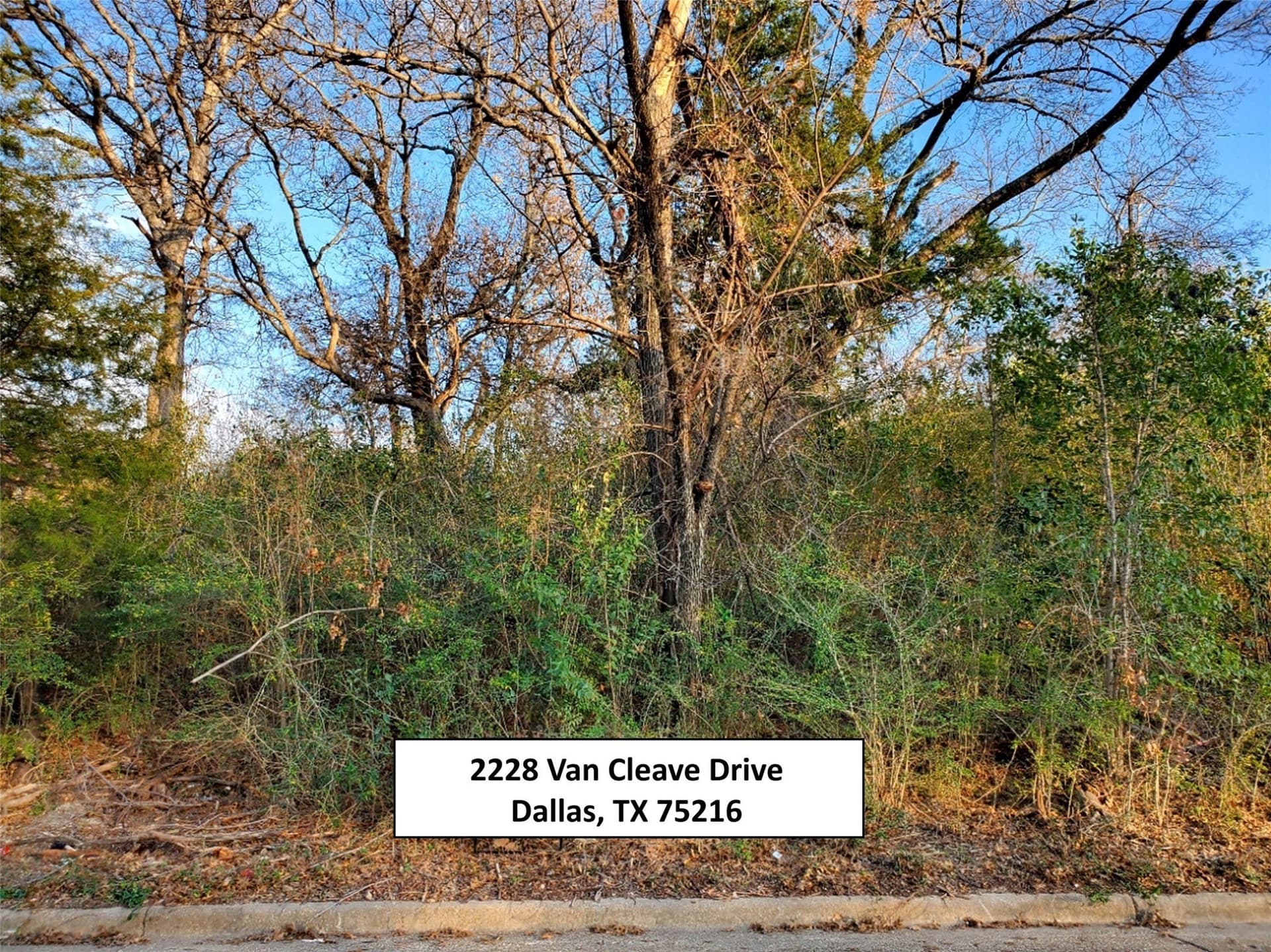 0.3 acres in Dallas County