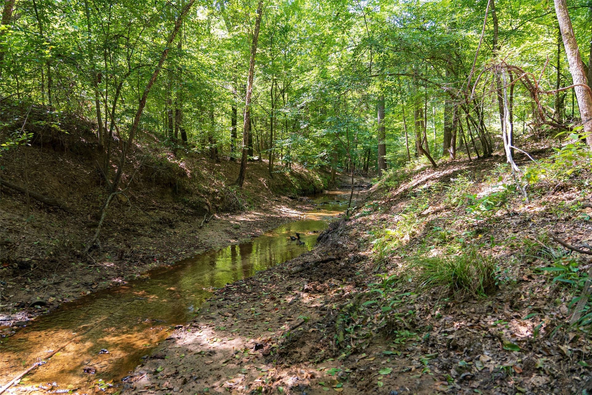 5.84 acres in Gregg County