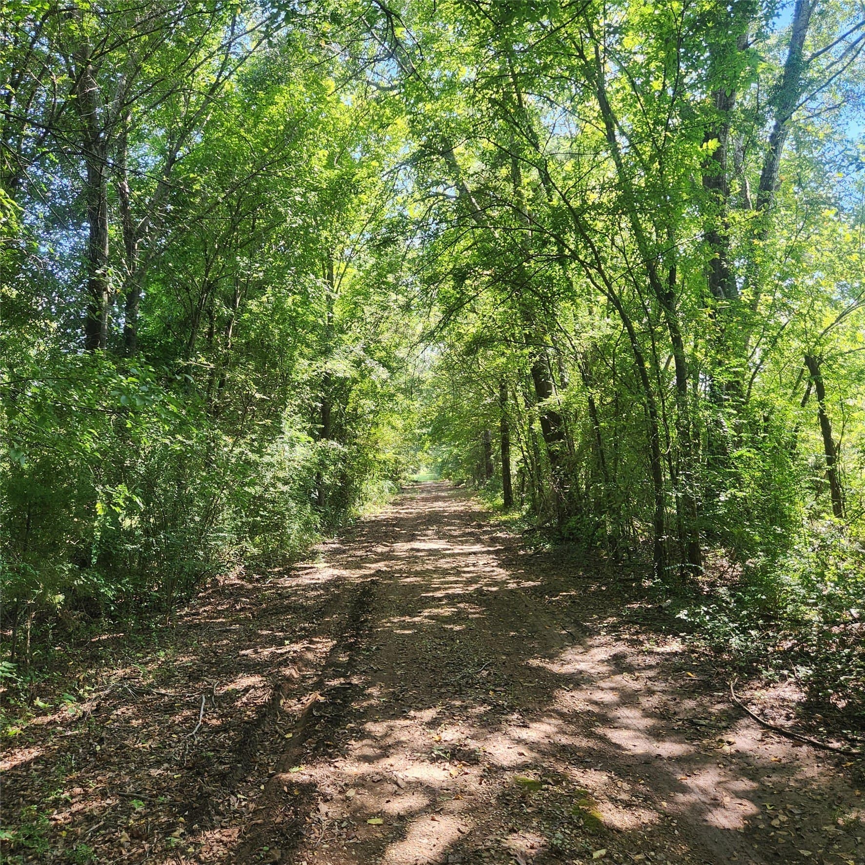 4 acres in Smith County