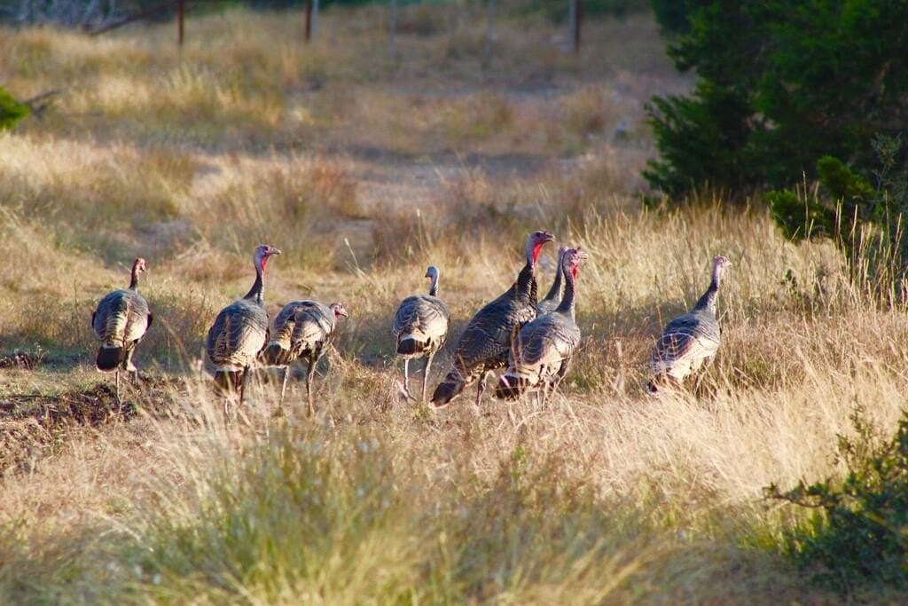 56.12 acres in Edwards County