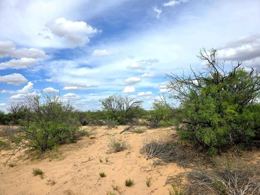 40 acres in Pecos County