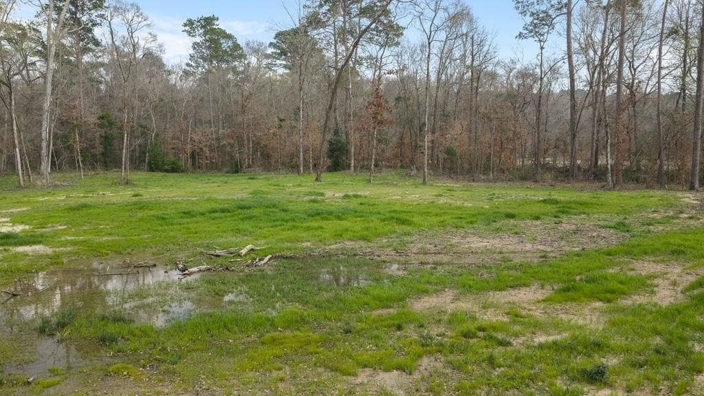 4.33 acres in Texas County