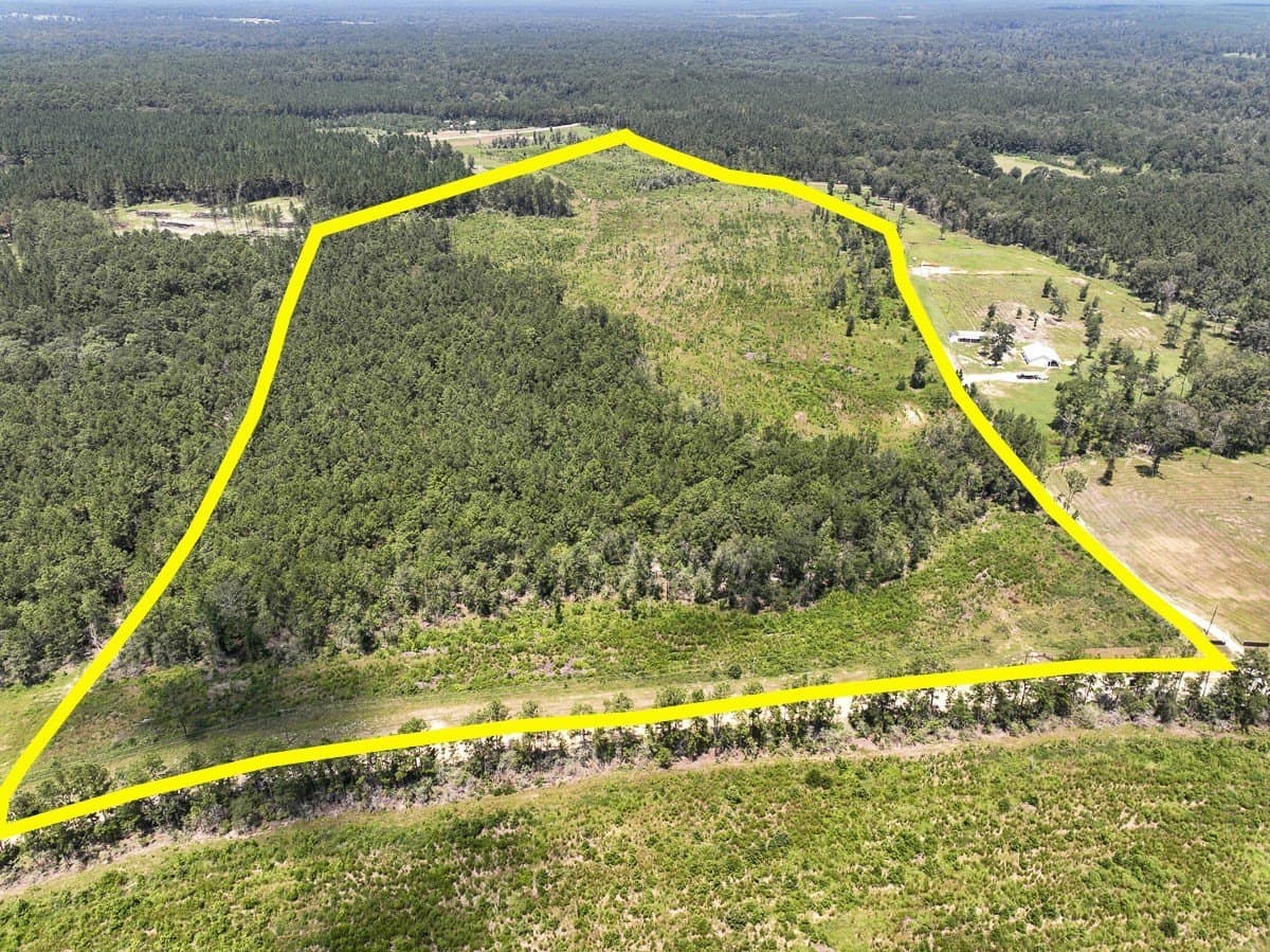 61.6 acres in Polk County