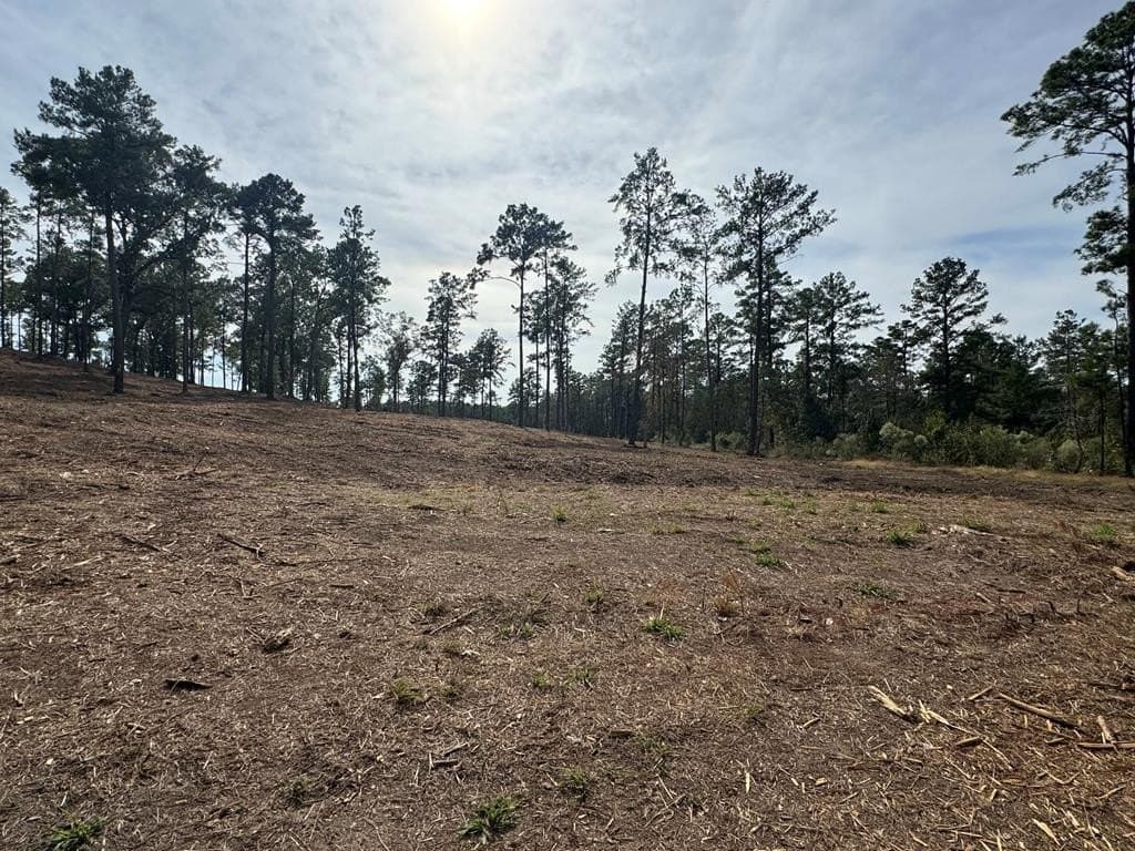 0.5 acres in Texas County