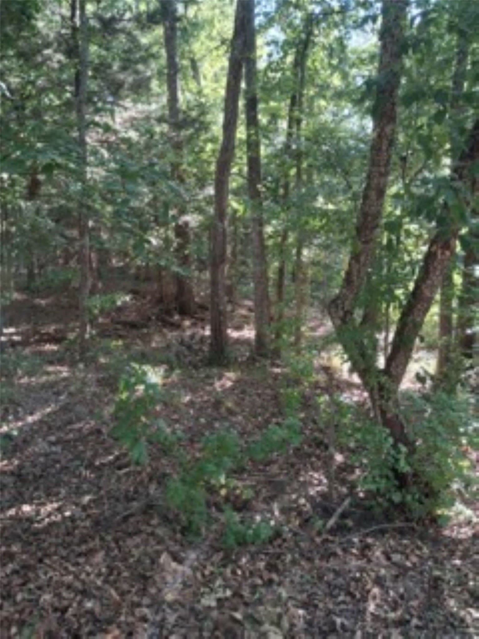 0.28 acres in Van Zandt County