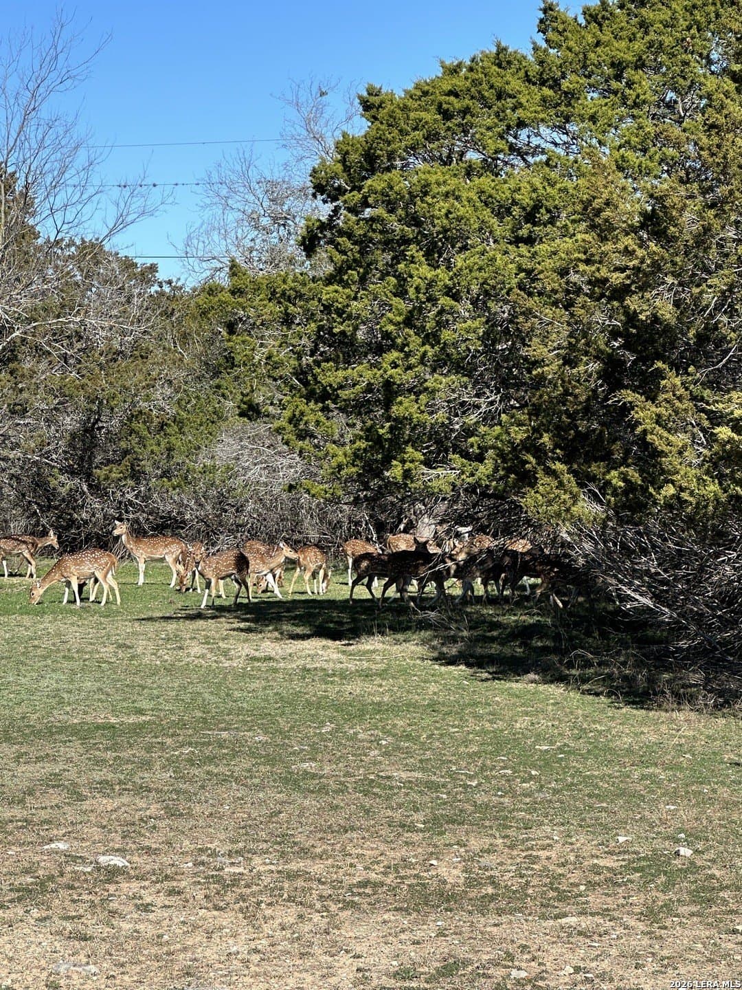 0.24 acres in Bandera County