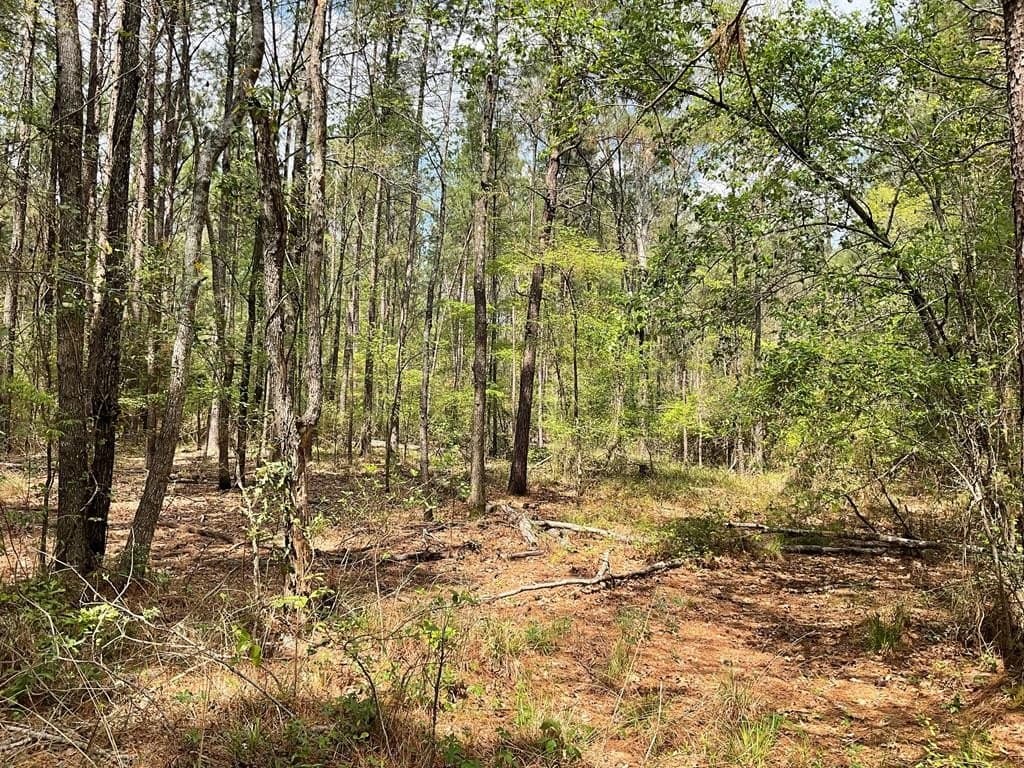 6.23 acres in Texas County