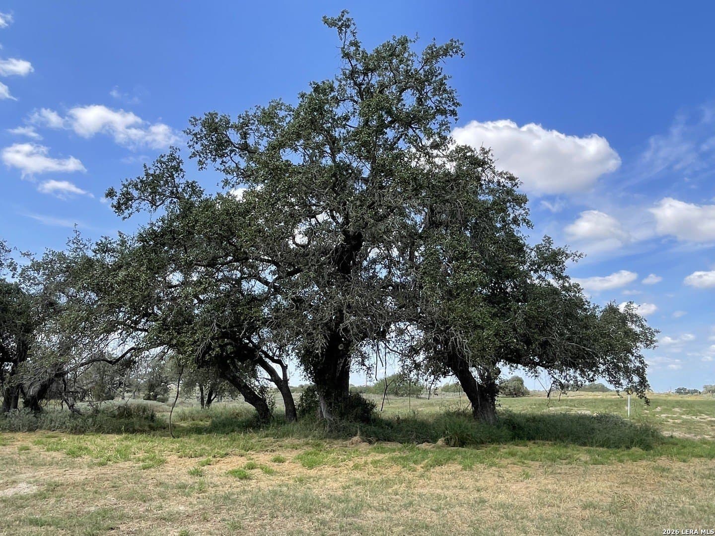 2.5 acres in Wilson County