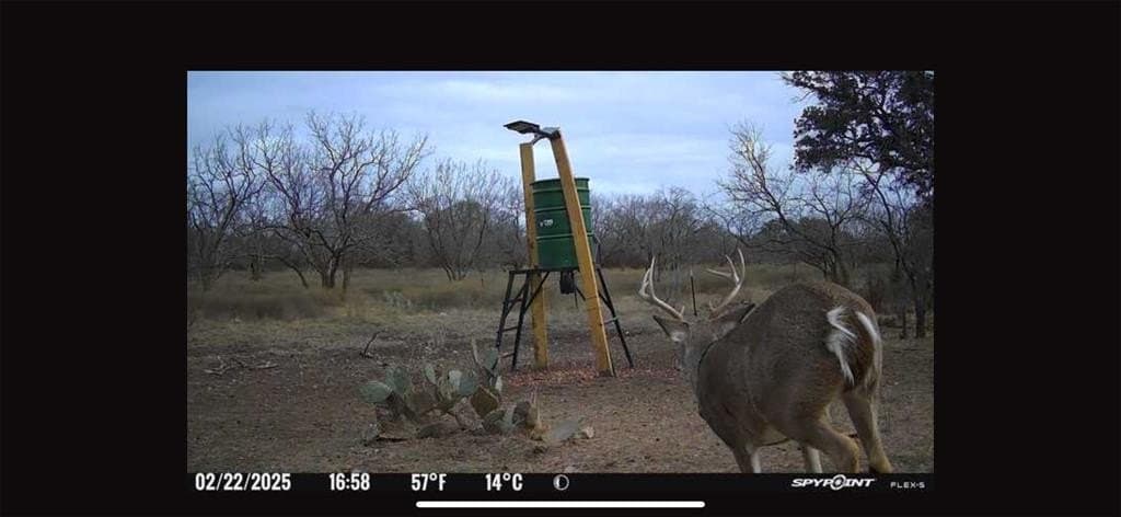 23.14 acres in McCulloch County