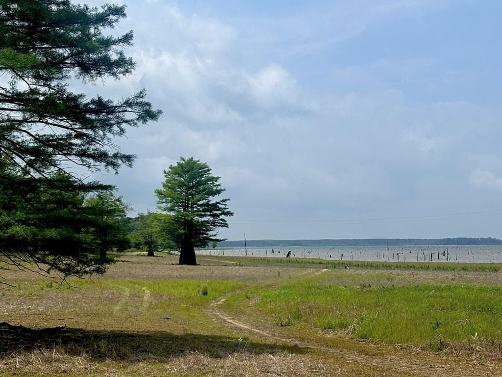 3 acres in Texas County