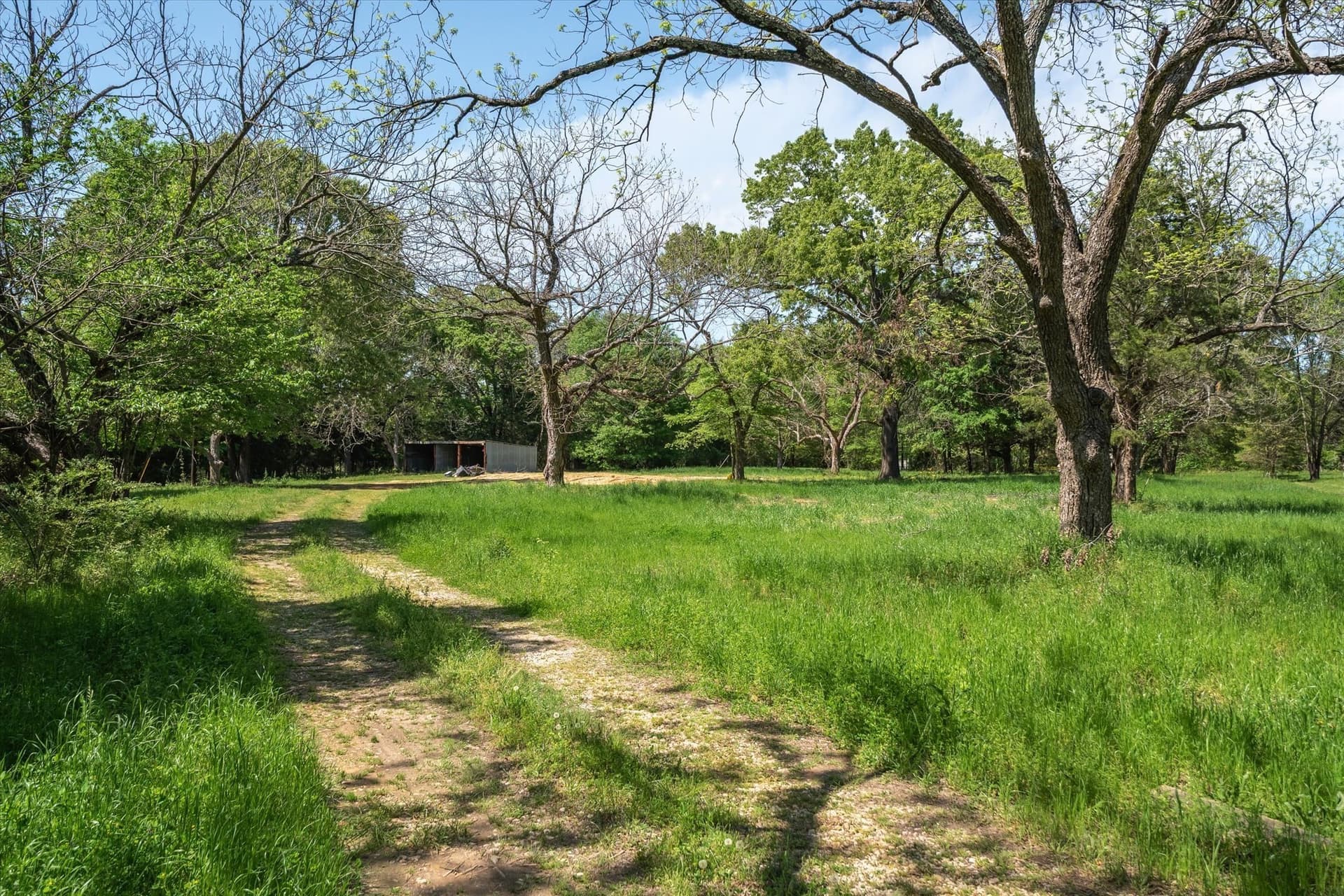 10 acres in Van Zandt County