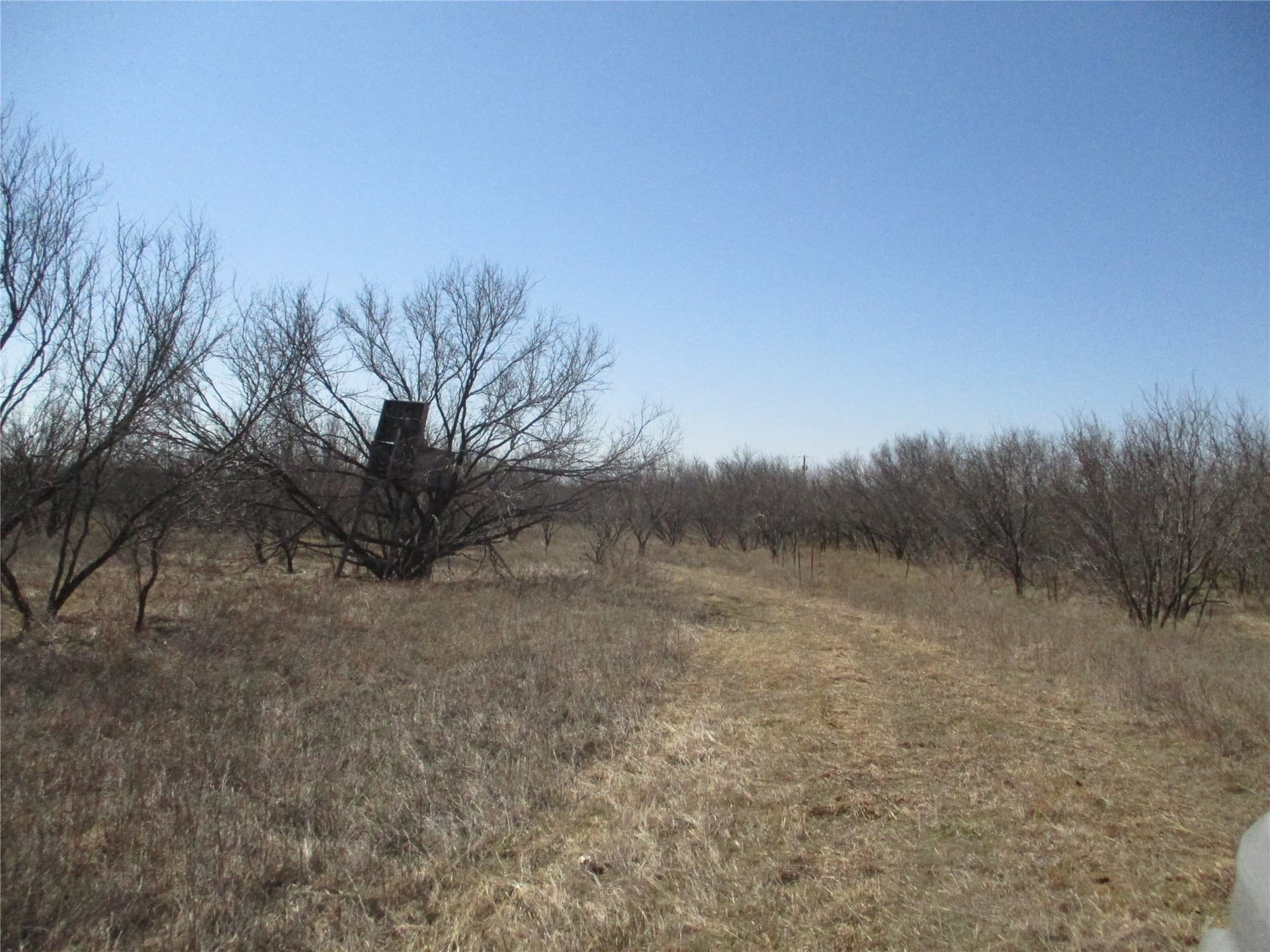 13.64 acres in Clay County