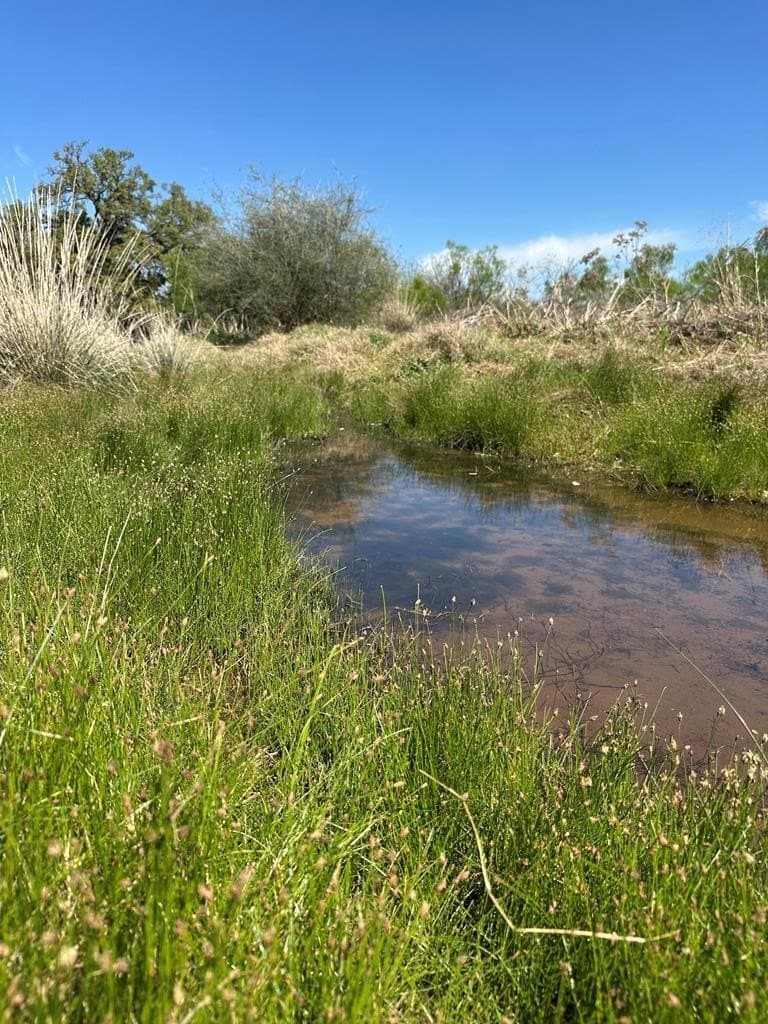 21.5 acres in Llano County