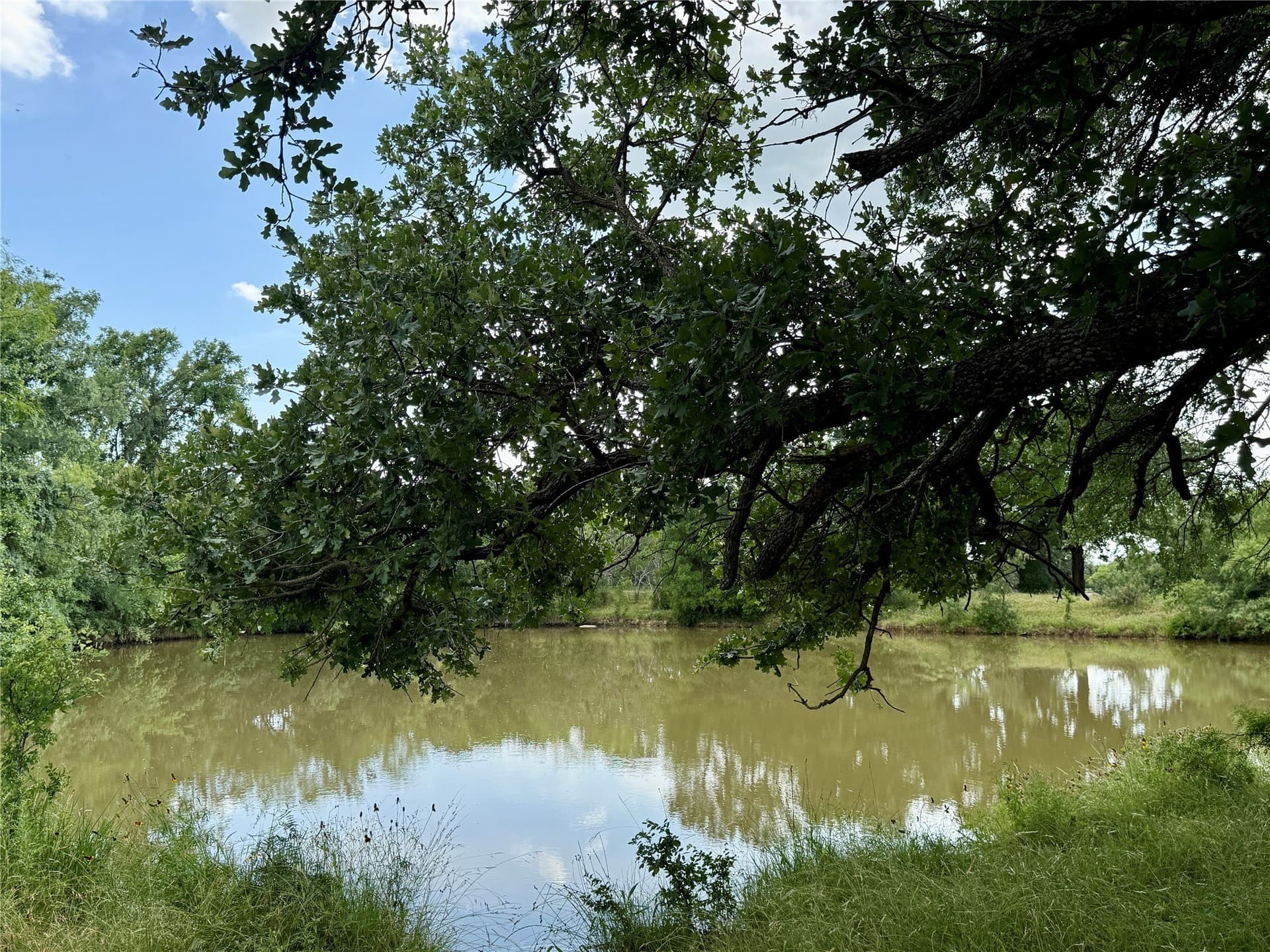 91.49 acres in Brown County
