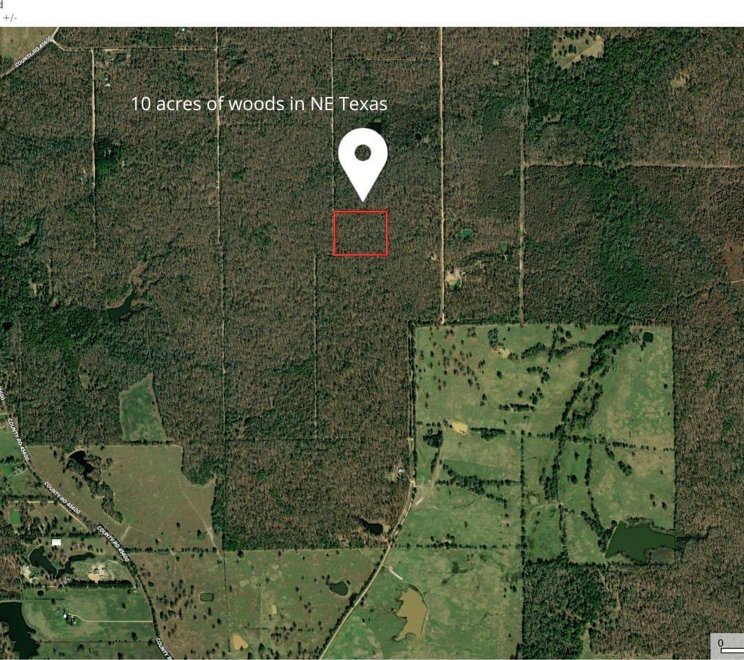 10.2 acres in Lamar County