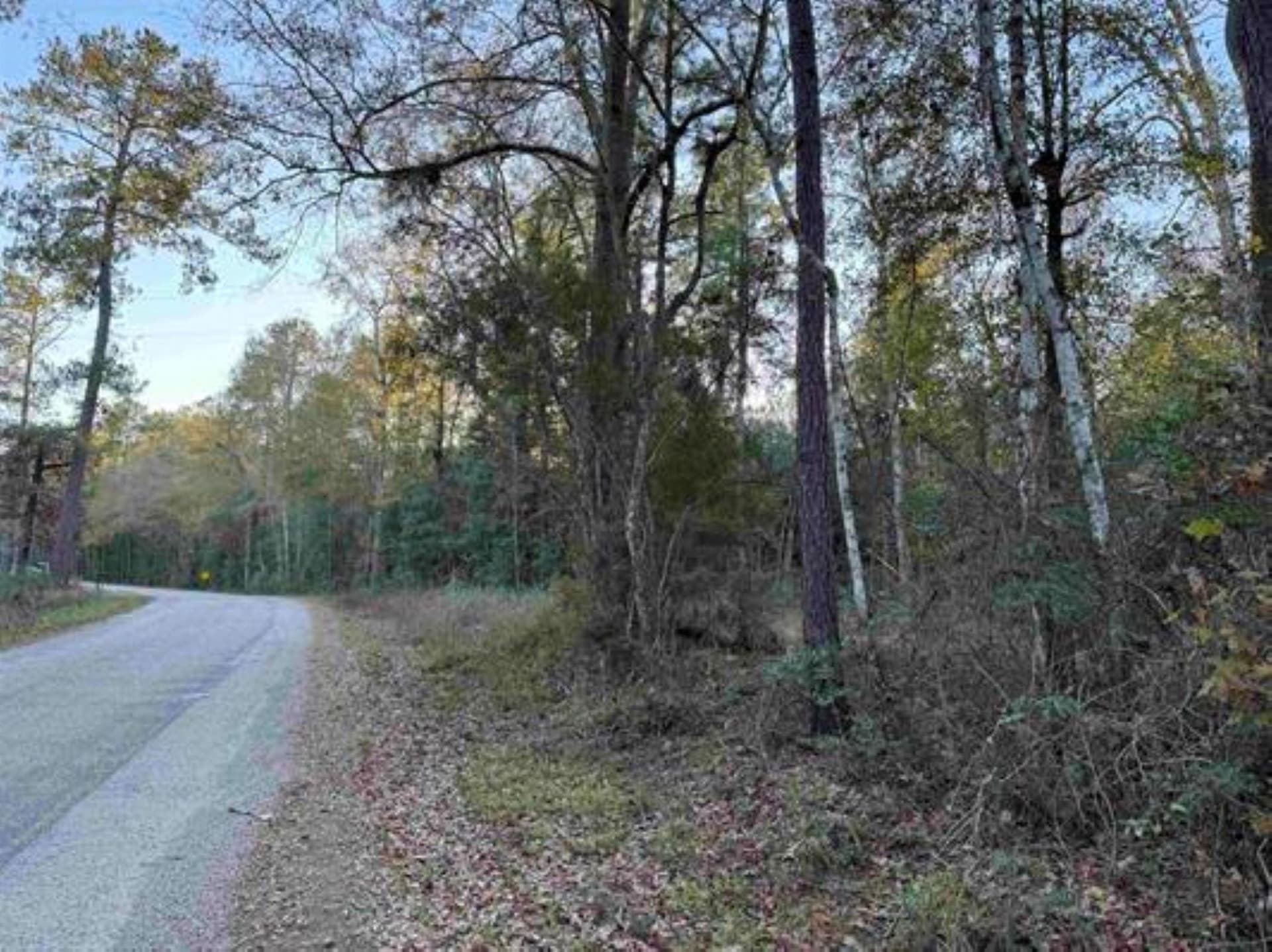 28.2 acres in Texas County