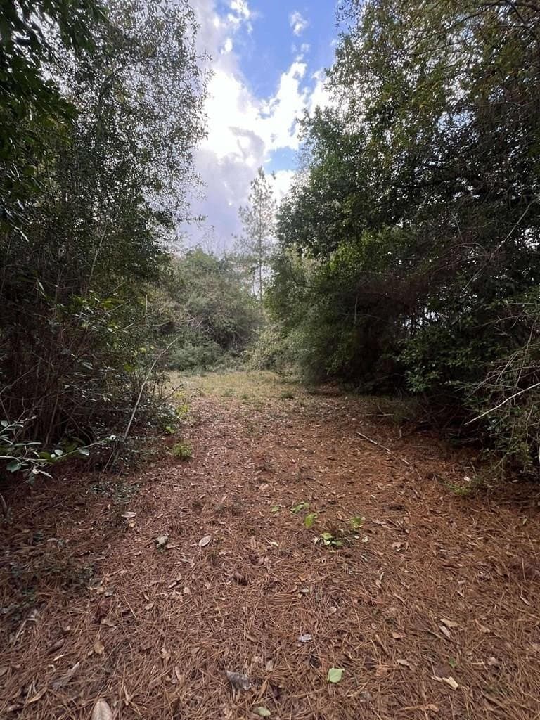 47.5 acres in Texas County