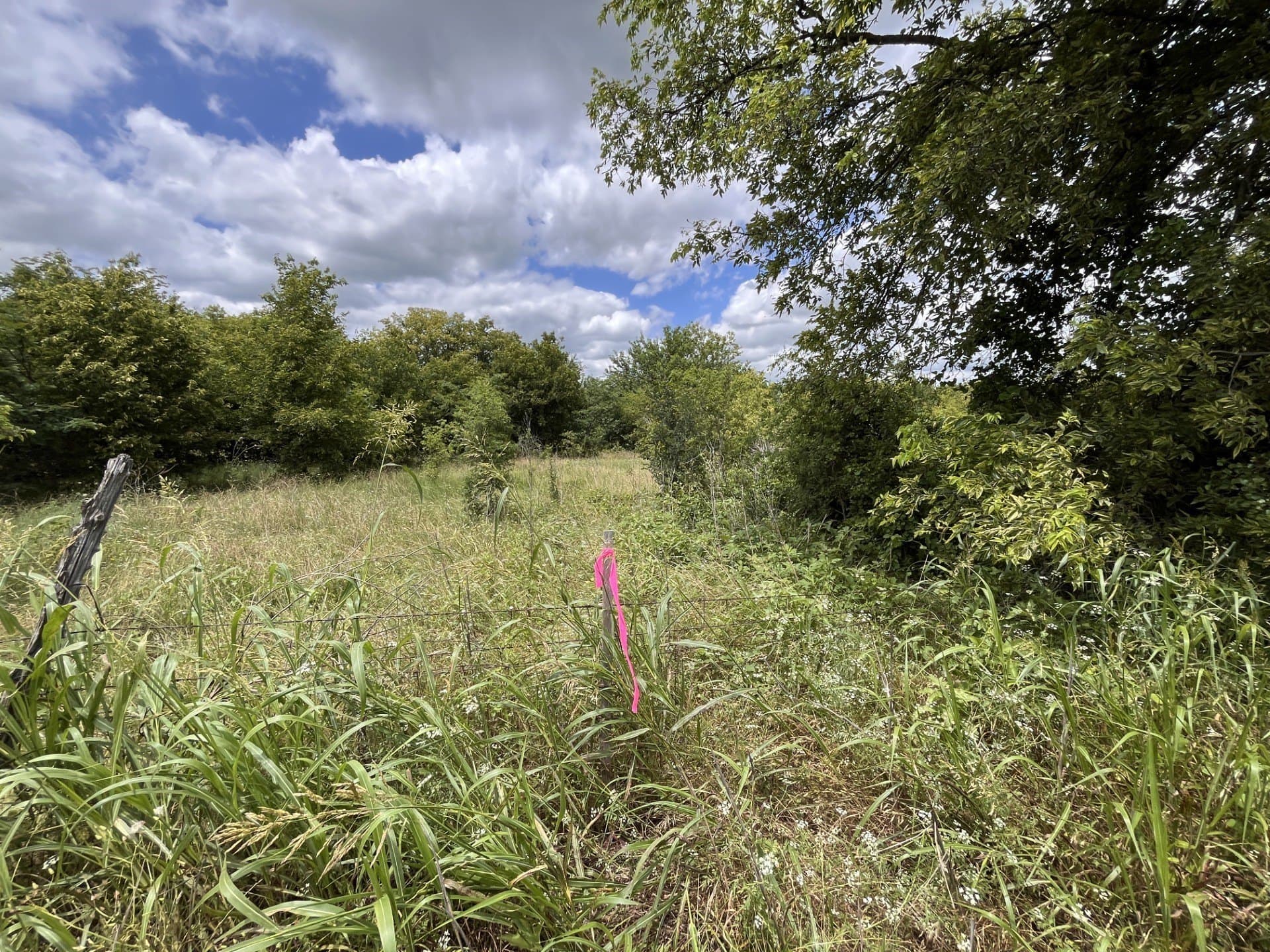70.9 acres in Hill County