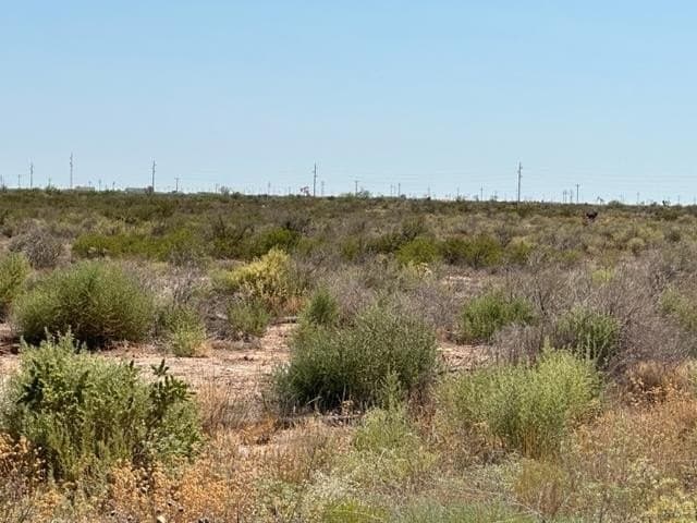 35.33 acres in Ector County