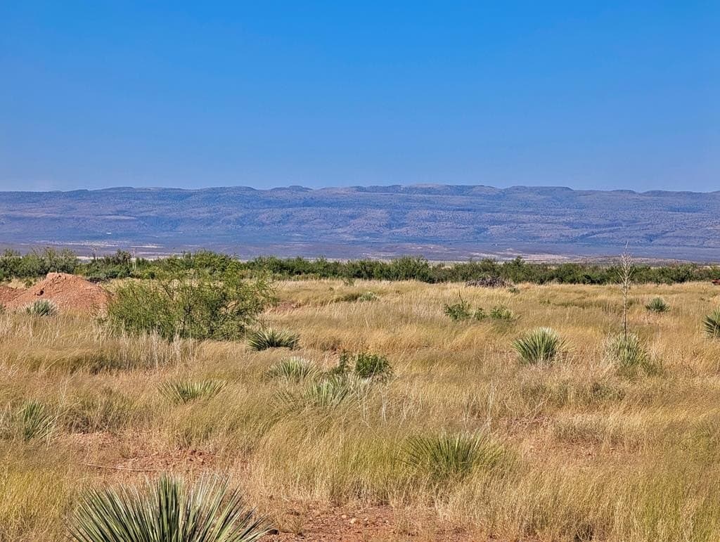 1.31 acres in Jeff Davis County