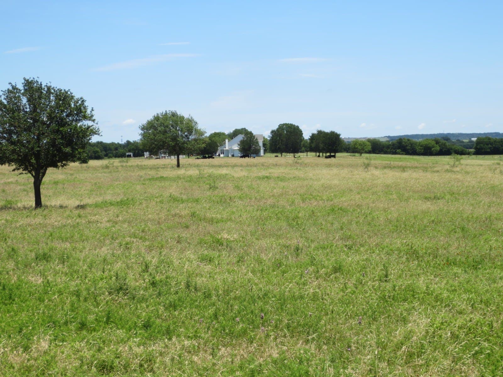 15.5 acres in McLennan County
