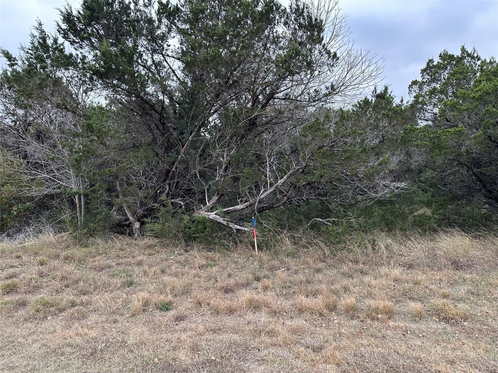 0.34 acres in Johnson County