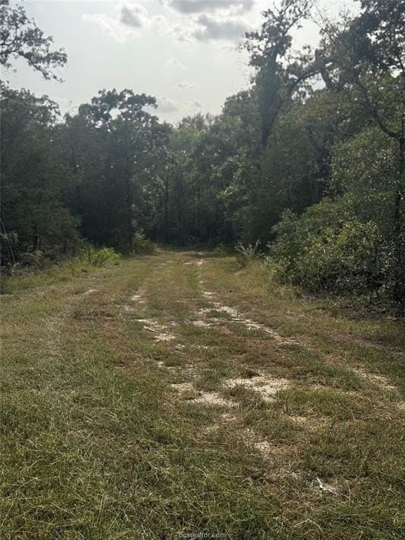 41.55 acres in Robertson County