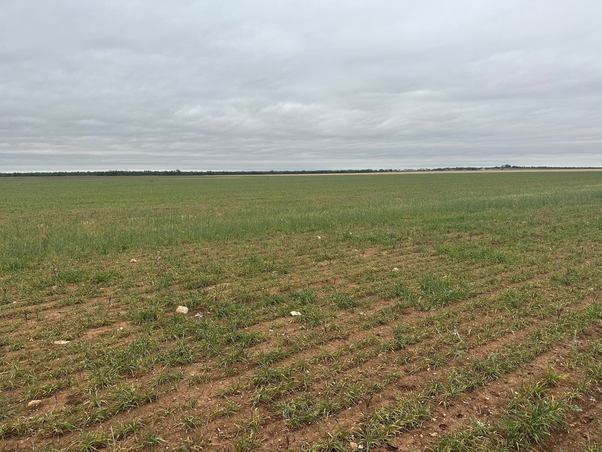 13.4 acres in Jones County