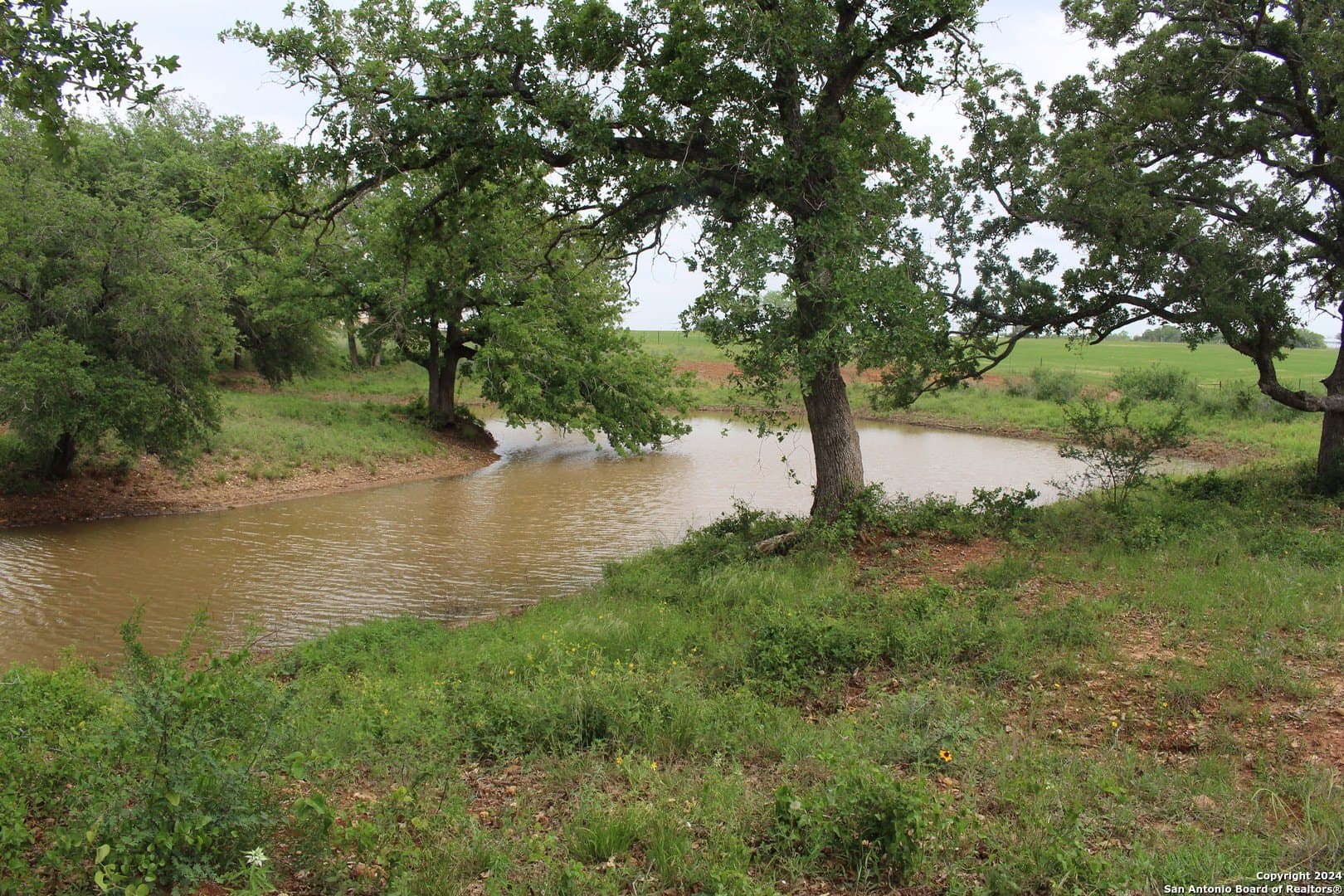 35.77 acres in Guadalupe County
