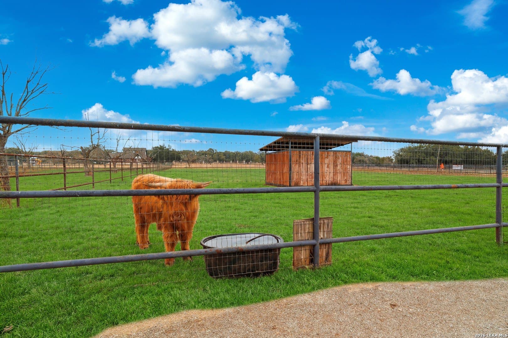 10 acres in Kendall County
