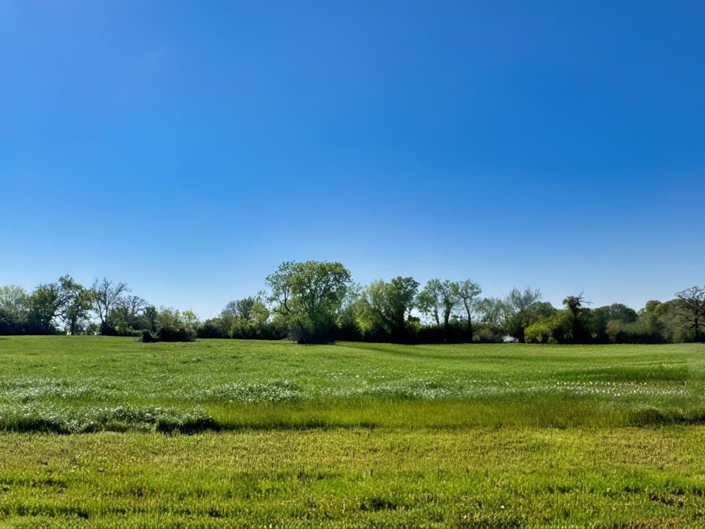 1.06 acres in Grimes County