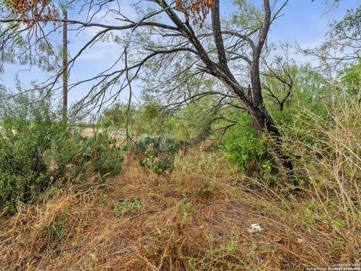2 acres in Bexar County