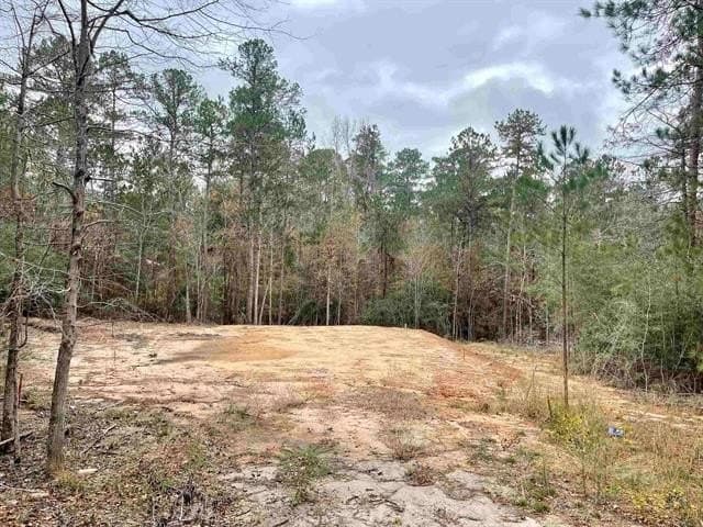 0.29 acres in Texas County