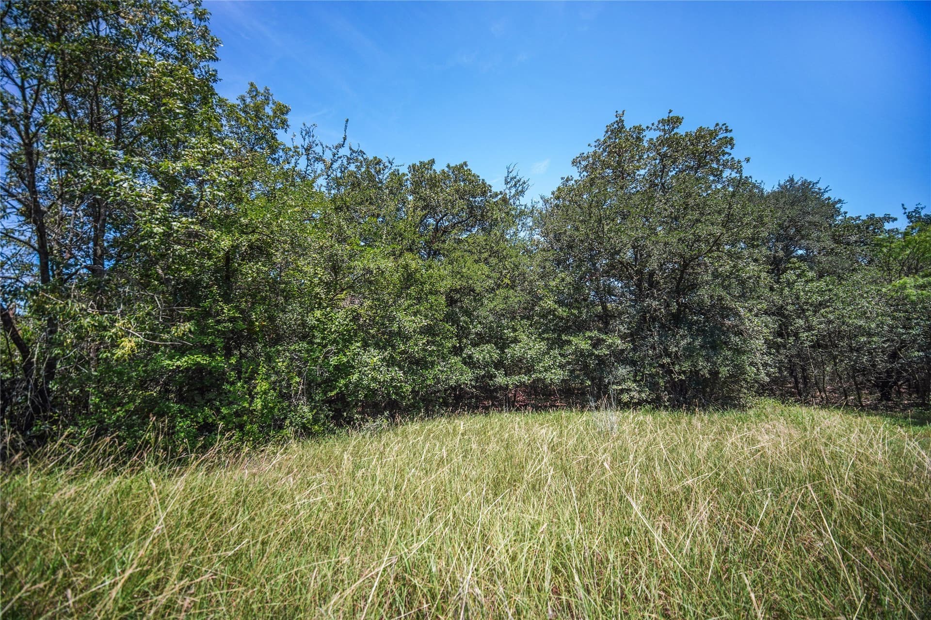 0.21 acres in Wise County
