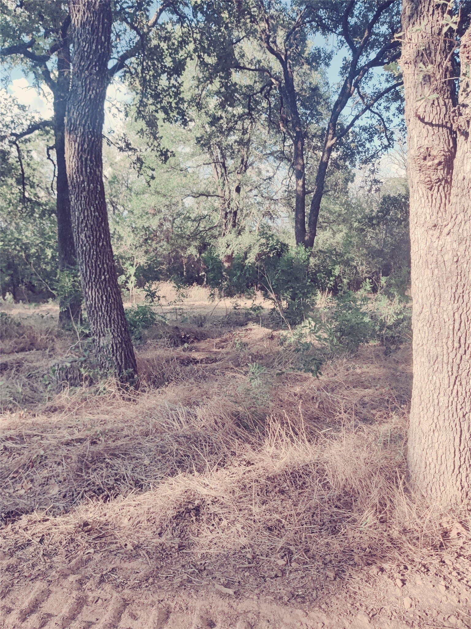 1.72 acres in Parker County