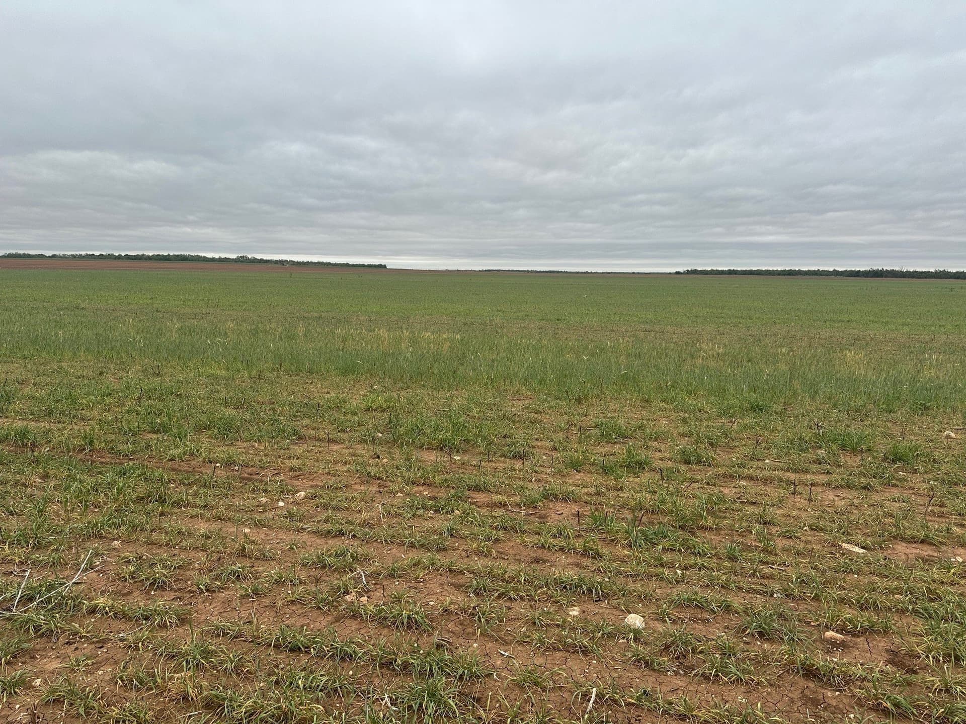15 acres in Jones County