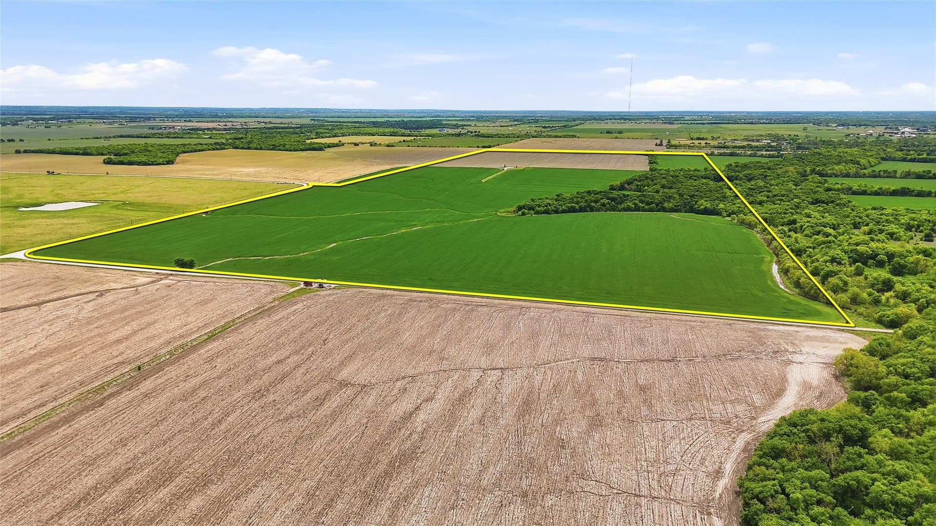 200.96 acres in Grayson County